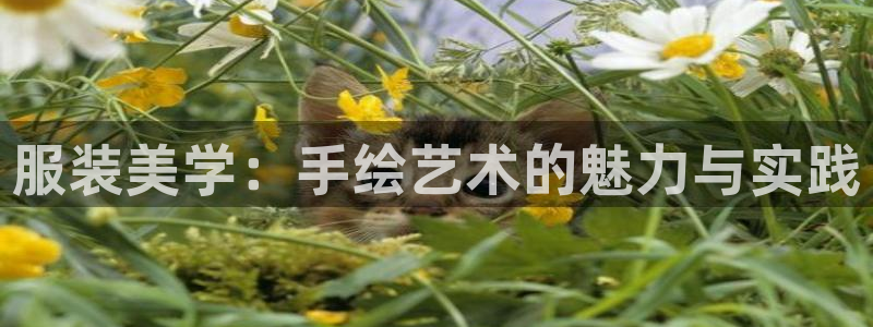 欧乐星城娱乐的介绍