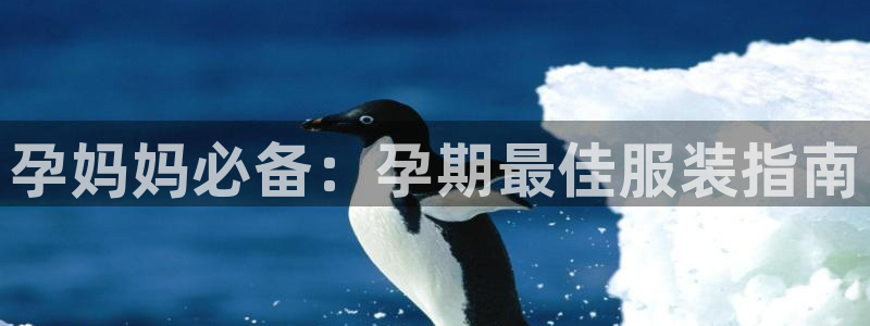 星欧娱乐的官方网站