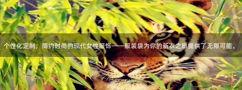 星欧娱乐旗下艺人名单