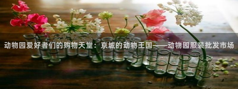 星欧娱乐平台是什么