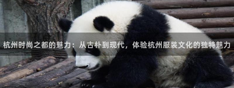 欧星娱乐官网