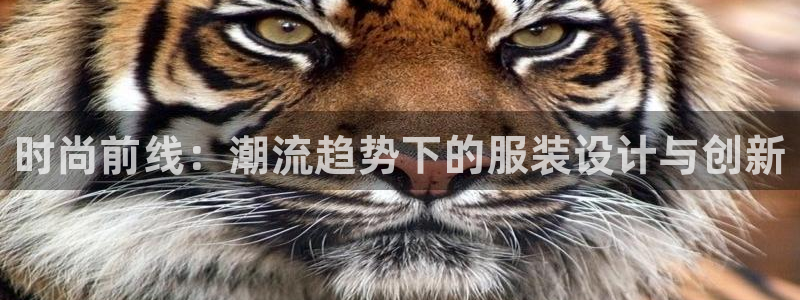 星饭娱乐欧豪是谁