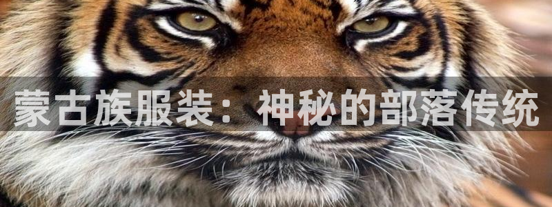 星欧娱乐彩票软件下载