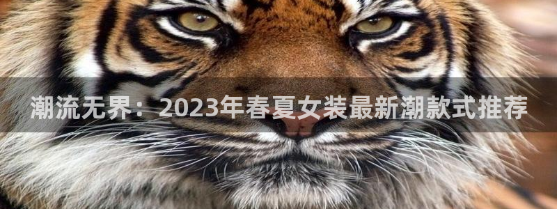 星欧娱乐平台靠谱吗