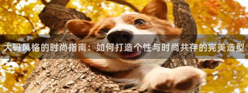 星饭娱乐欧豪是谁
