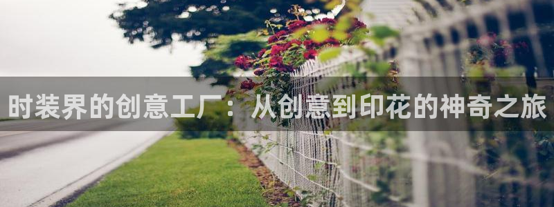 星欧娱乐主管