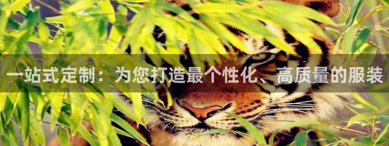 星欧娱乐扣款流程详解