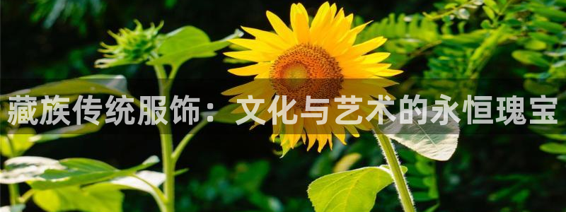 娱乐星扒客欧豪