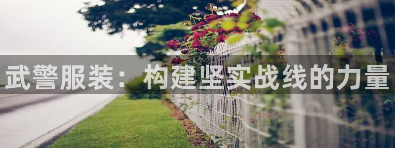 星欧娱乐下载官网
