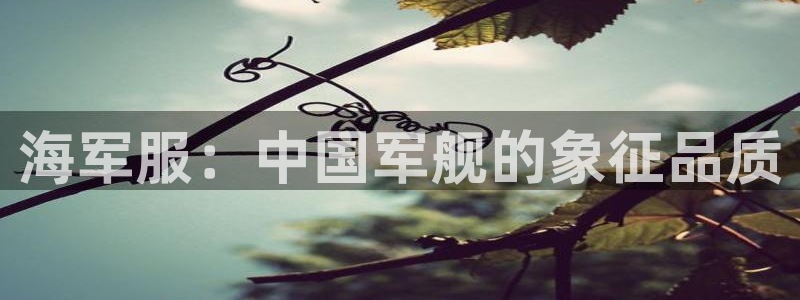 星欧娱乐是正规的吗