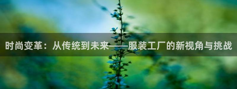 欧联杯正赛星辉娱乐