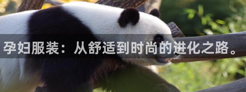 星欧娱乐负责人