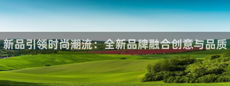 星辉娱乐进入欧联杯了吗