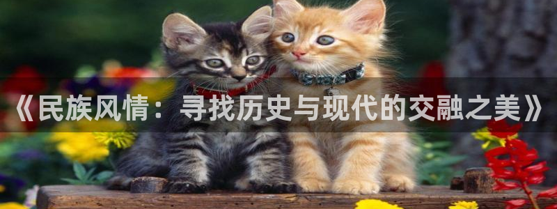 星欧娱乐扣费处理方法