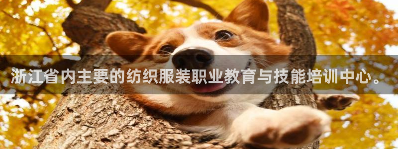 星欧娱乐是诈骗吗