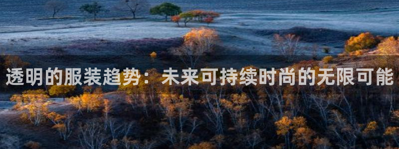 星欧娱乐注册资金多少：透明的服装趋势：未