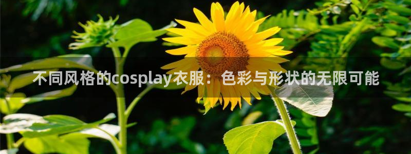 星欧娱乐是诈骗吗