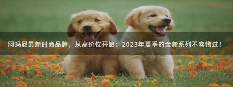 星辉娱乐进入欧联杯了吗