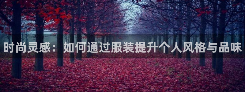 星欧娱乐公司电话号码