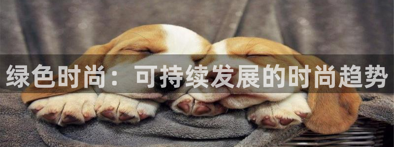 星欧娱乐平台