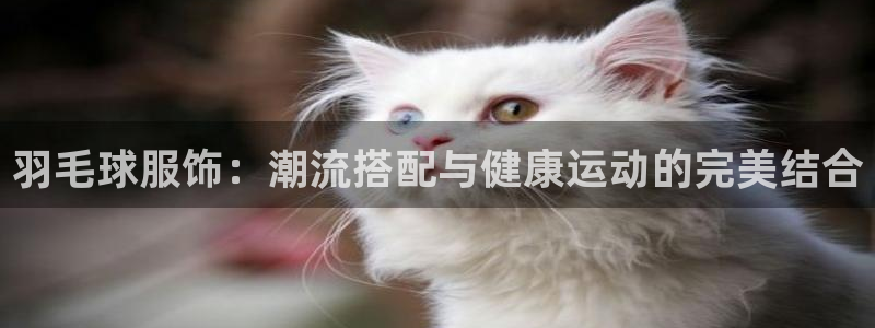 星欧娱乐是正规品牌吗