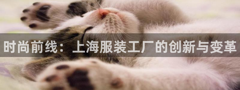 星欧娱乐倒闭了吗