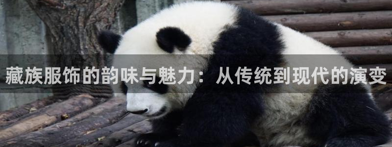 星欧娱乐是正规的吗